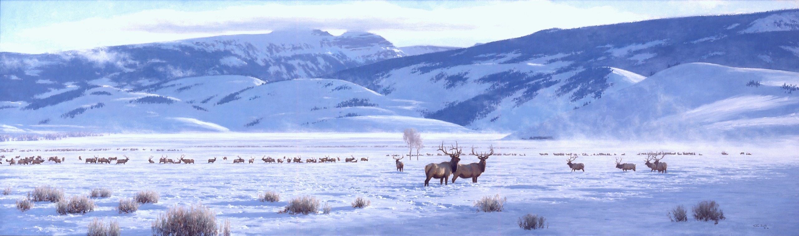 1994052 Smith The Refuge_Crop2