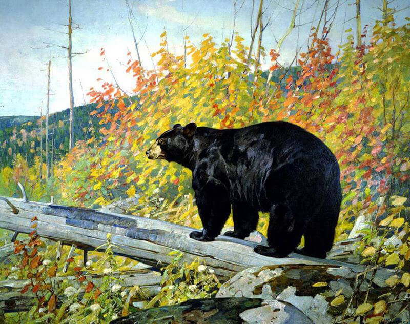 National Museum of Wildlife Art | Art Collection, Jackson Hole, Wy