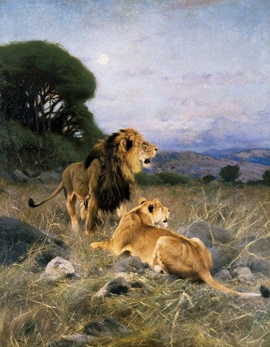 Wilhelm Kuhnert African Lions