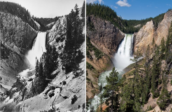 Image: Yellowstone's Lower Falls