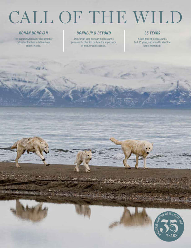 Awards & Publications - National Museum of Wildlife Art